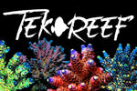 Tek Reef